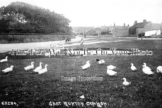 NF 3656 - East Runton Common, Norfolk