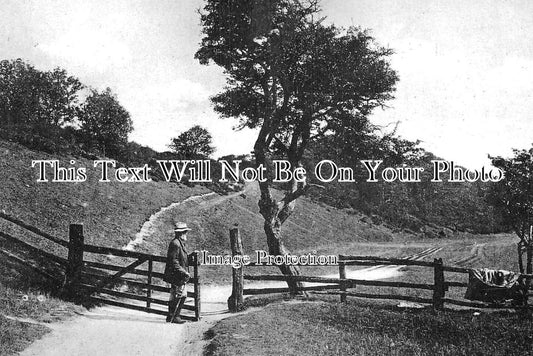 NF 3677 - Ringstead Downs, Hunstanton, Norfolk