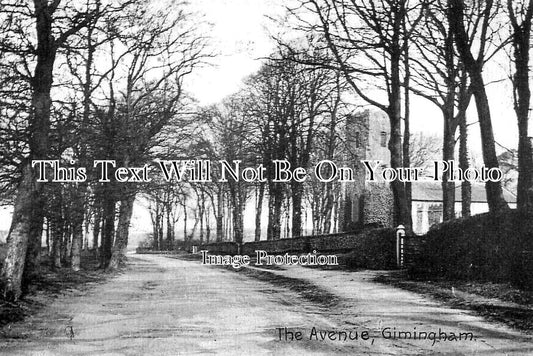 NF 3699 - The Avenue, Gimingham, Norfolk c1910