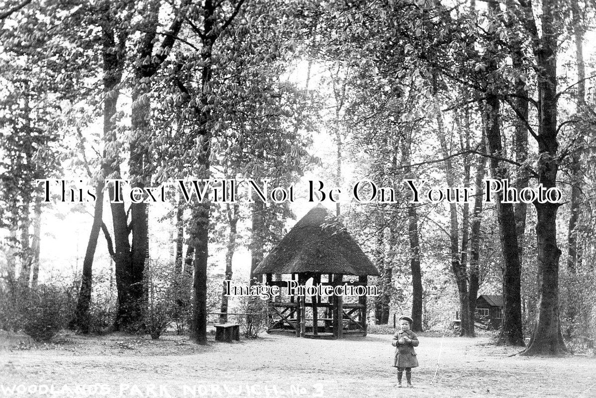 NF 3763 - Woodland Park, Norwich, Norfolk c1917