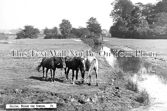 NF 3907 - Beside The Stream, Oulton, Norfolk