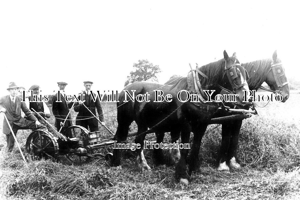 NF 3933 - Farming Scene, Bunwell, Norfolk c1906