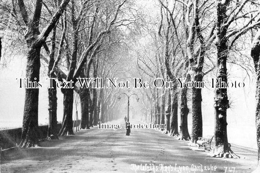 NF 3957 - The Walks, Kings Lynn, Norfolk 1908