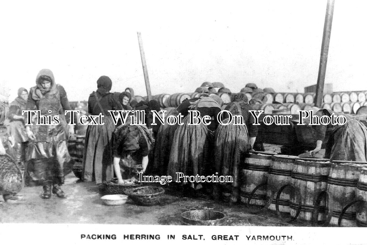 NF 3978 - Packing Herring In Salt, Great Yarmouth, Norfolk