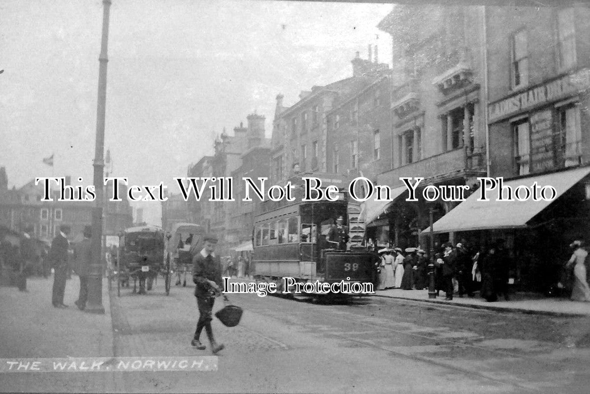 NF 416 - The Walk, Norwich, Norfolk