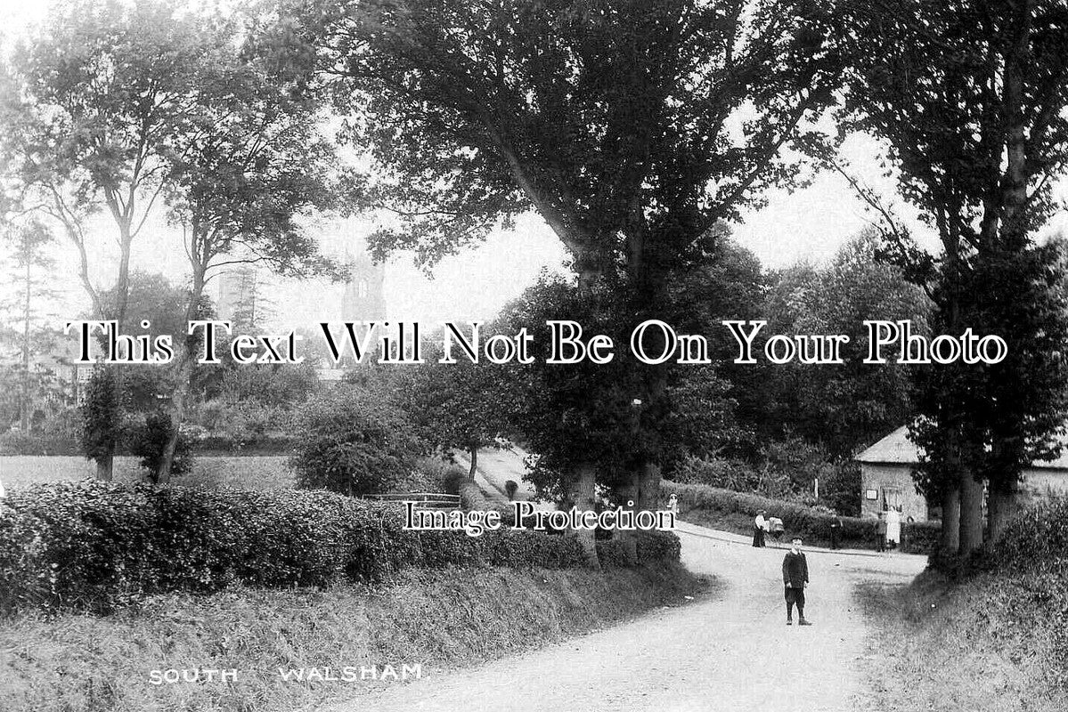 NF 4199 - South Walsham, Norfolk c1908