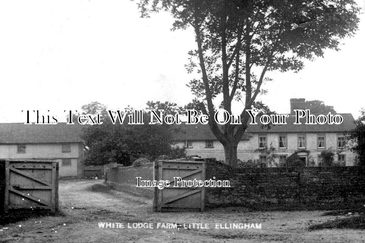 NF 4237 - White Lodge Farm, Little Ellingham, Norfolk