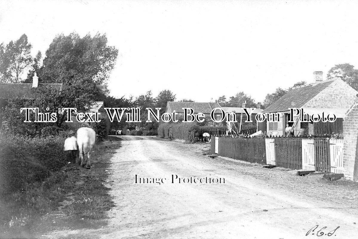 NF 4263 - Walpole St Peter, Norfolk