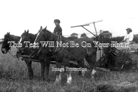 NF 4270 - Farming Scene At East Dereham, Norfolk