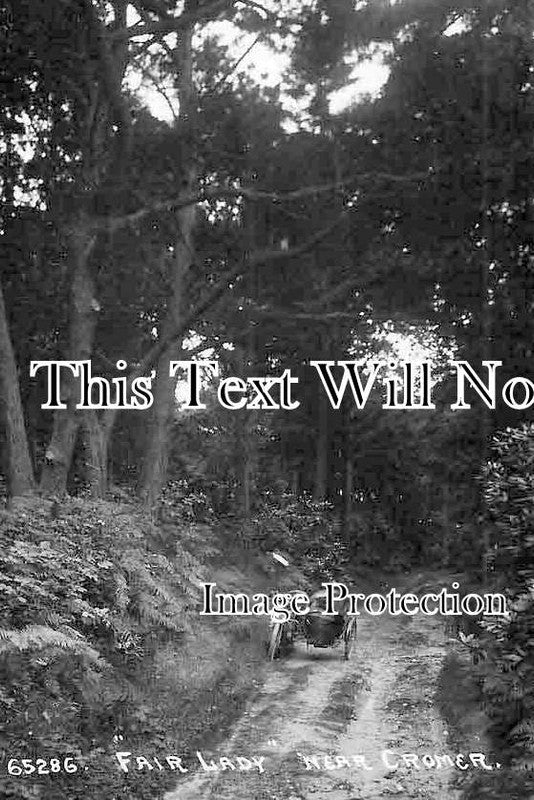 NF 4281 - Fair Lady Near Cromer, Norfolk c1919