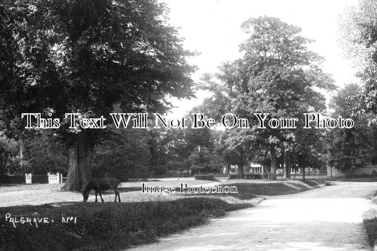 NF 4337 - Palgrave, Norfolk c1920