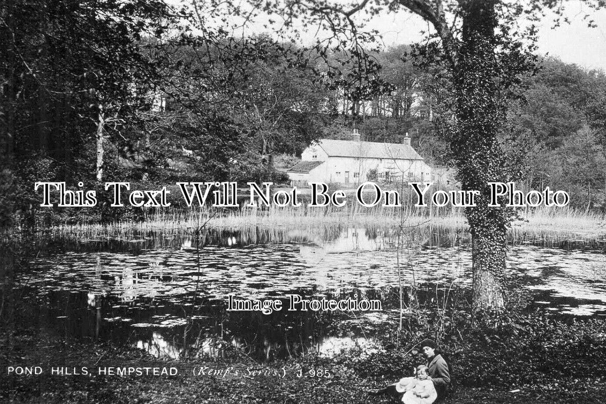 NF 4351 - Pond Hills, Hempstead, Norfolk