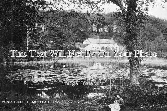 NF 4351 - Pond Hills, Hempstead, Norfolk