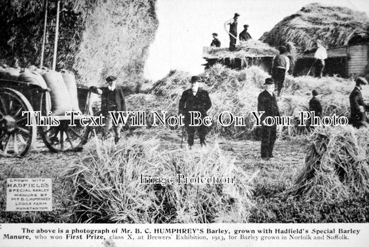 NF 457 - Lodge Farm, Hunstanton, Norfolk