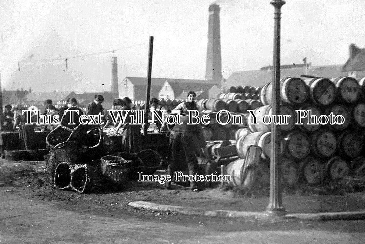NF 561 - Fishwives Gutting Herring, Great Yarmouth, Norfolk