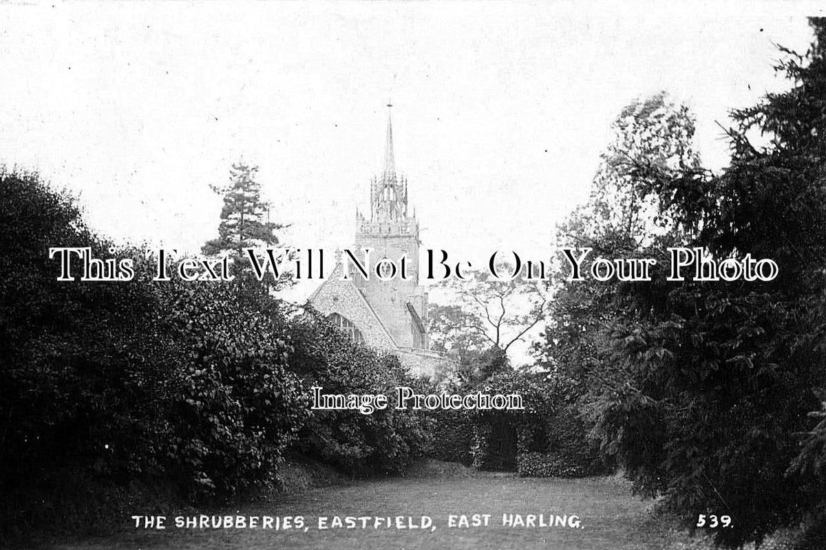 NF 74 - The Shrubberies, Eastfield, East Harling, Norfolk c1928