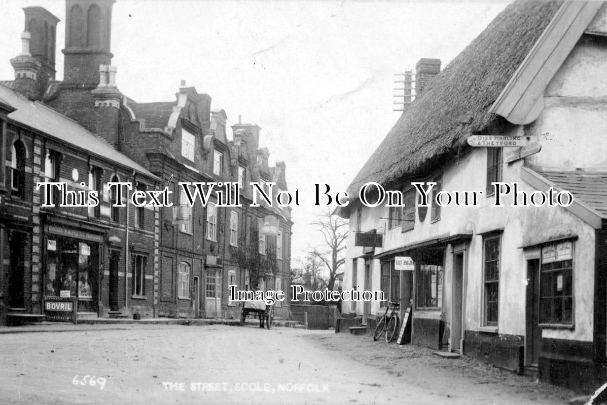 NF 744 - The Street, Scole, Norfolk c1920
