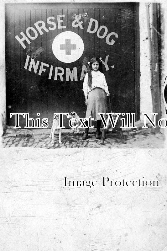 NF 890 - Royal Veterinary Corps Animal Hospital, Norfolk c1914 WW1