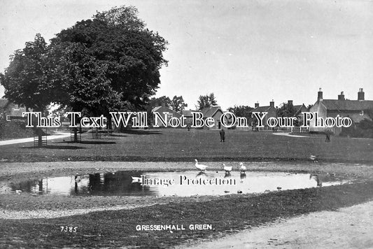 NF 960 - Gressenhall Green, Norfolk c1918