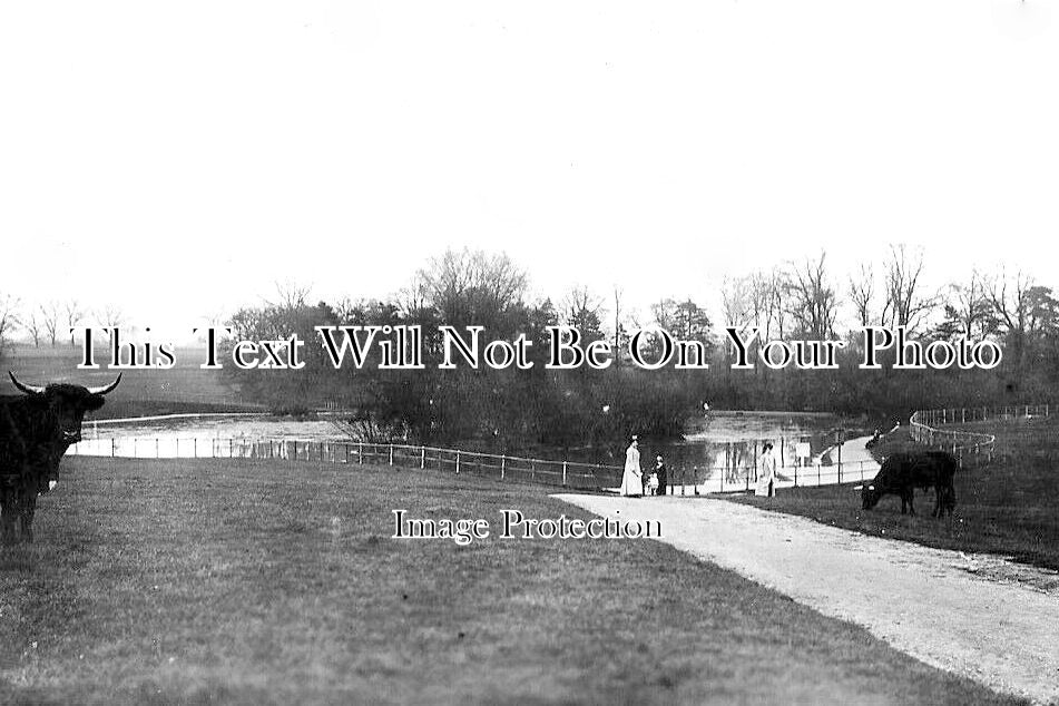 NH 1272 - Abington Park, Northampton, Northamptonshire c1915