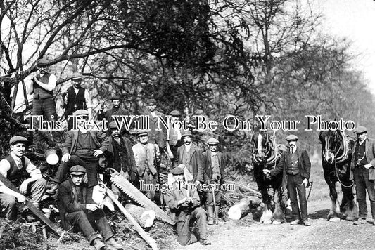 NH 1430 - Timber Felling Group, Peterborough, Northamptonshire