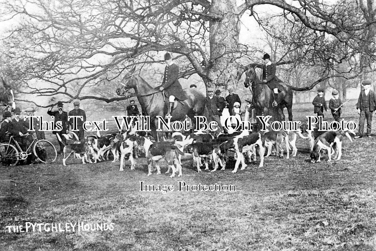 NH 183 - Pytchley Hounds, Northamptonshire c1907