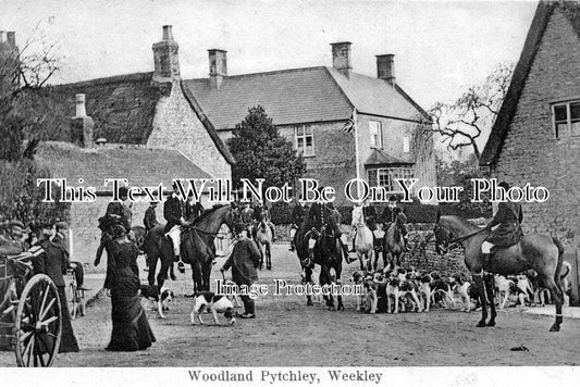 NH 58 - Fox Hunting, Woodland Pytchley, Weekley, Northamptonshire