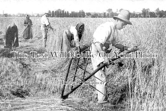 NH 866 - Farming At Earls Barton, Northamptonshire