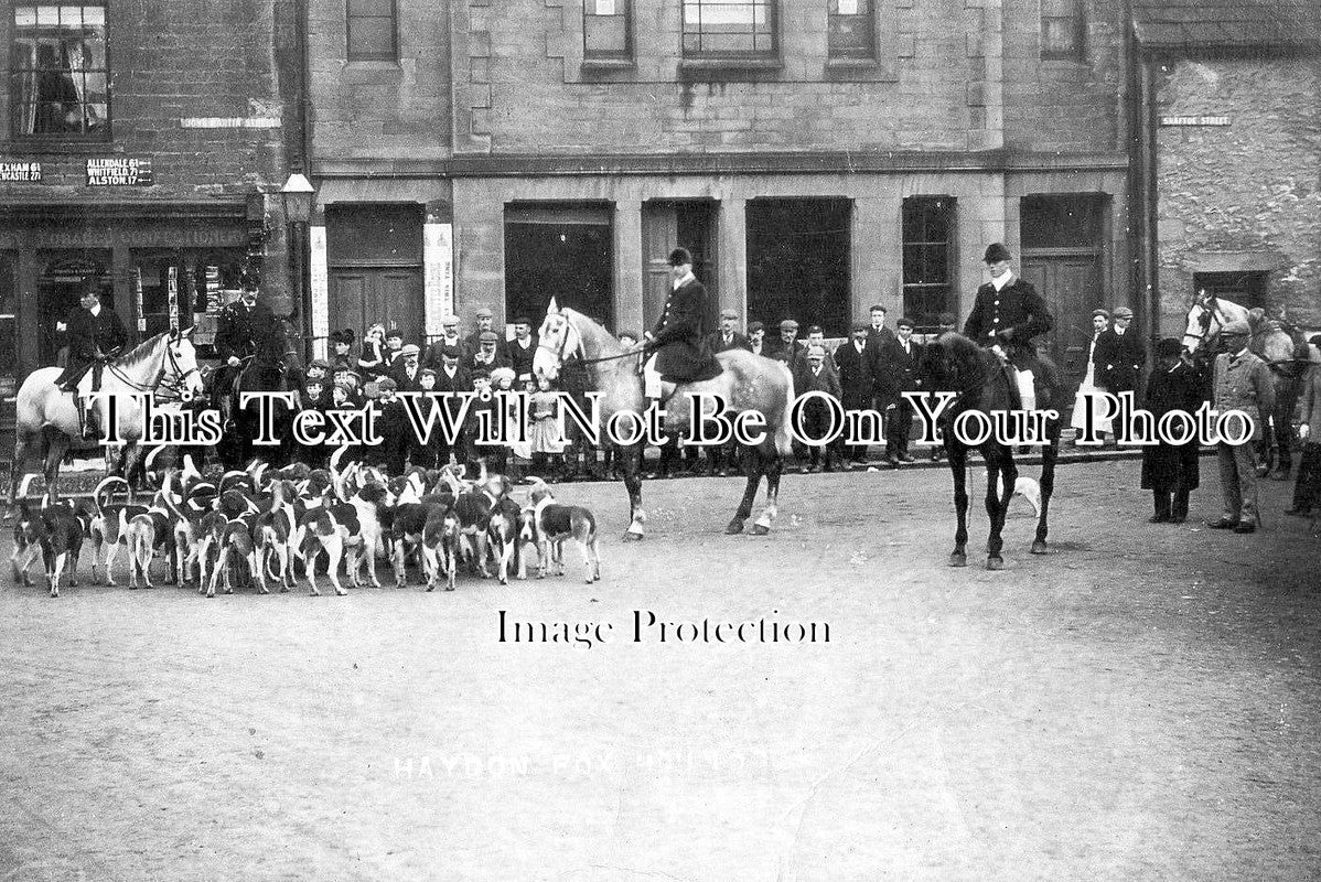 NO 1030 - Haydon Foxhounds, Haydon Bridge, Hexham, Northumberland c1908