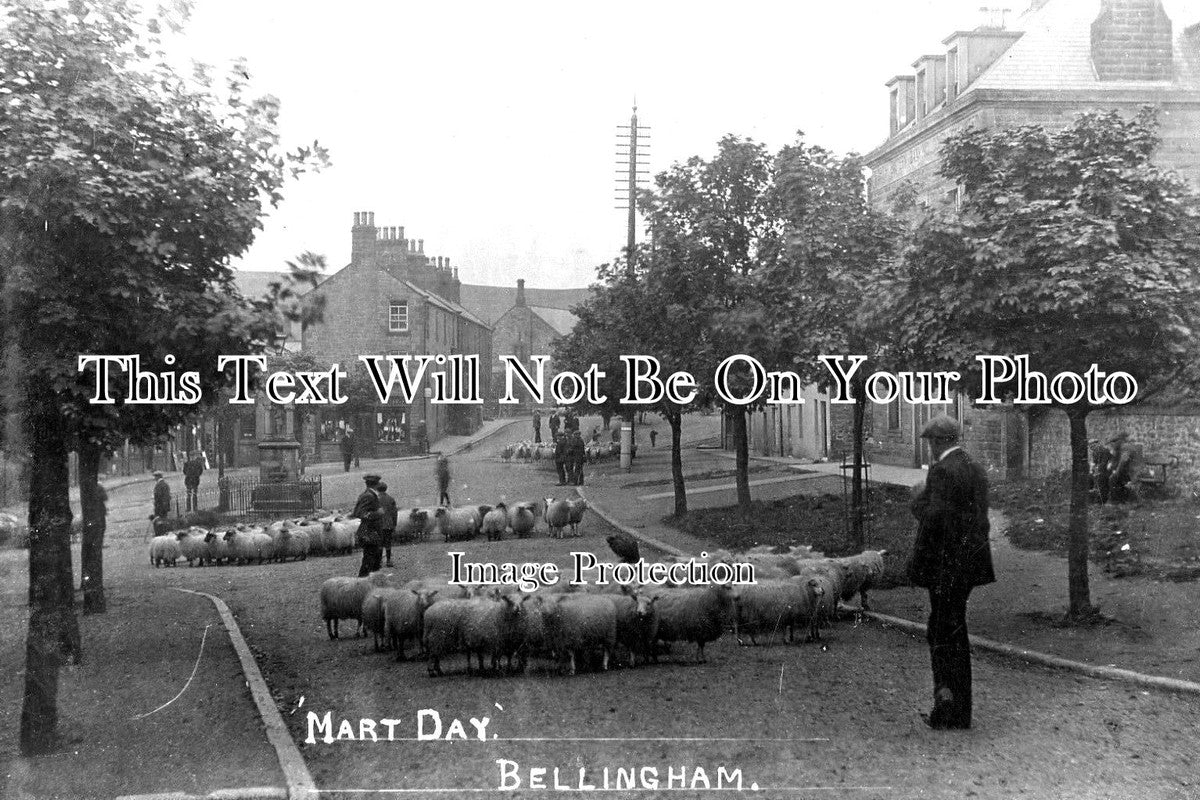 NO 1233 - Art Day, Bellingham, Hexham, Northumberland