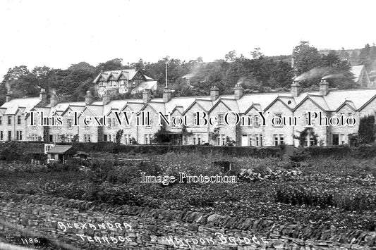 NO 1238 - Alexandra Terrace, Haydon Bridge, Hexham, Northumberland c1939