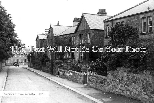 NO 1321 - Stagshaw Terrace, Corbridge, Northumberland c1927