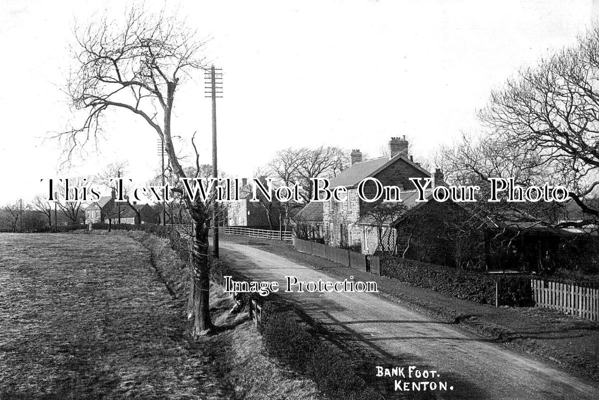 NO 1325 - Bank Foot, Kenton, Northumberland c1905