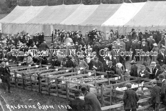 NO 1394 - Falstone Border Shepherds Show, Hexham, Northumberland 1913