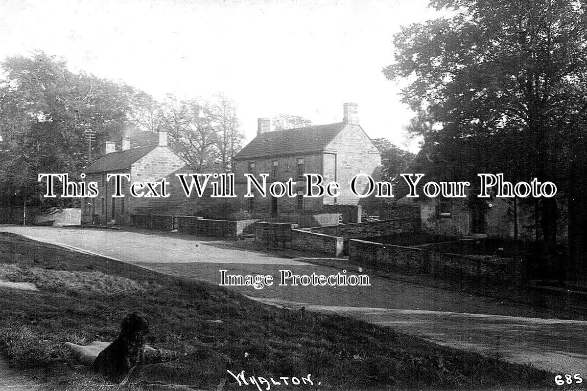 NO 1449 - Whalton, Northumberland