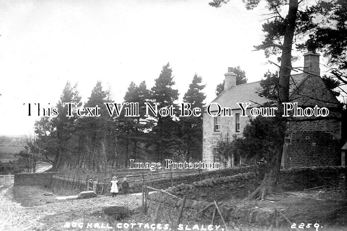 NO 1501 - Bog Hall Cottages, Slaley, Northumberland