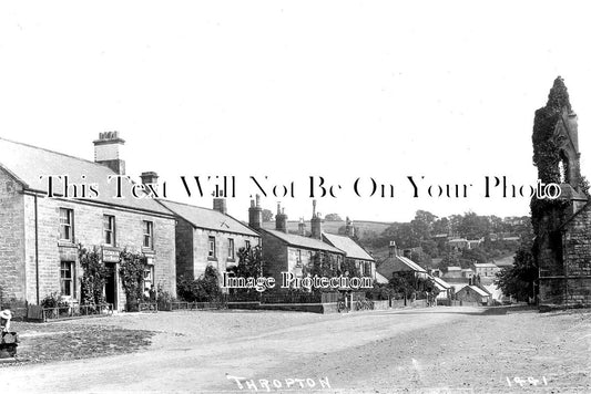 NO 1584 - Thropton, Northumberland