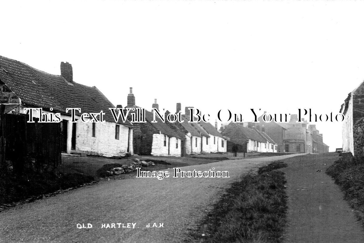 NO 1644 - Old Hartley, Northumberland