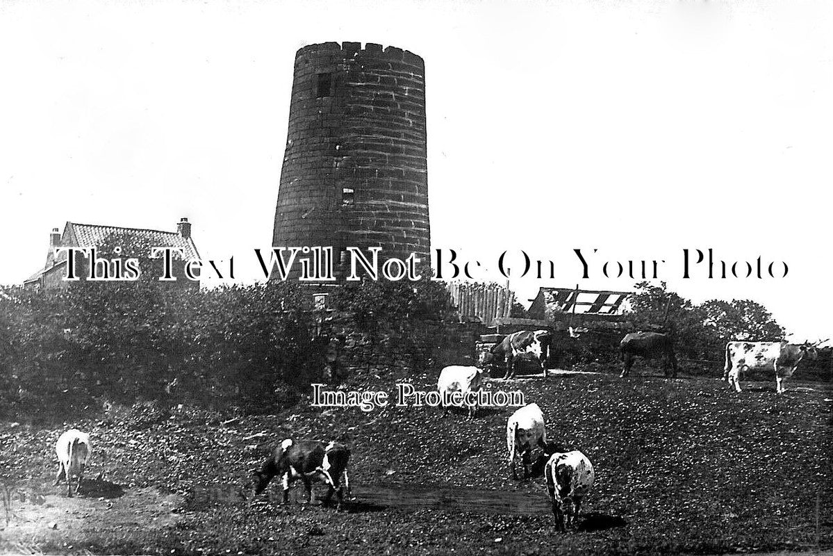 NO 1743 - Billy Mill, North Shields, Northumberland c1920