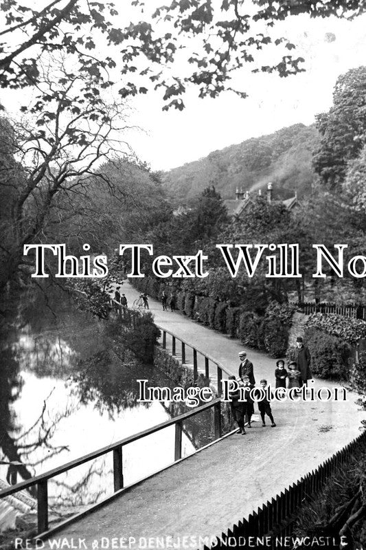 NO 1902 - Red Walk & Deep Dene, Jesmond, Newcastle, Northumberland