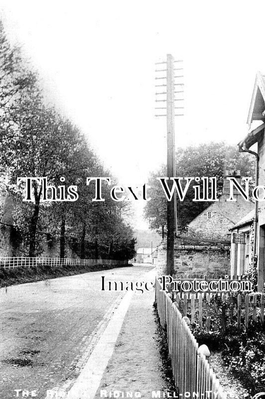 NO 1933 - The Riding, Riding Mill, Northumberland