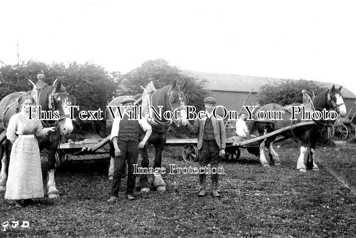NO 1986 - Bays Leap Farm, Heddon On The Wall, Newcastle Upon Tyne