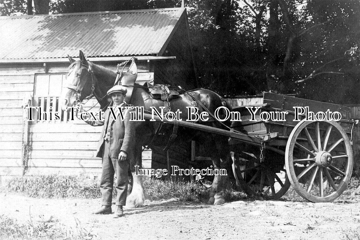 NO 1991 - Horse & Cart, Stocksfield, Hexham, Northumberland