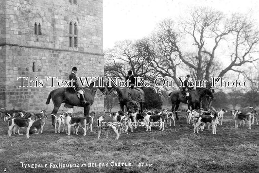 NO 2027 - Tynedale Foxhounds At Belsay Castle, Hexham, Northumberland c1910