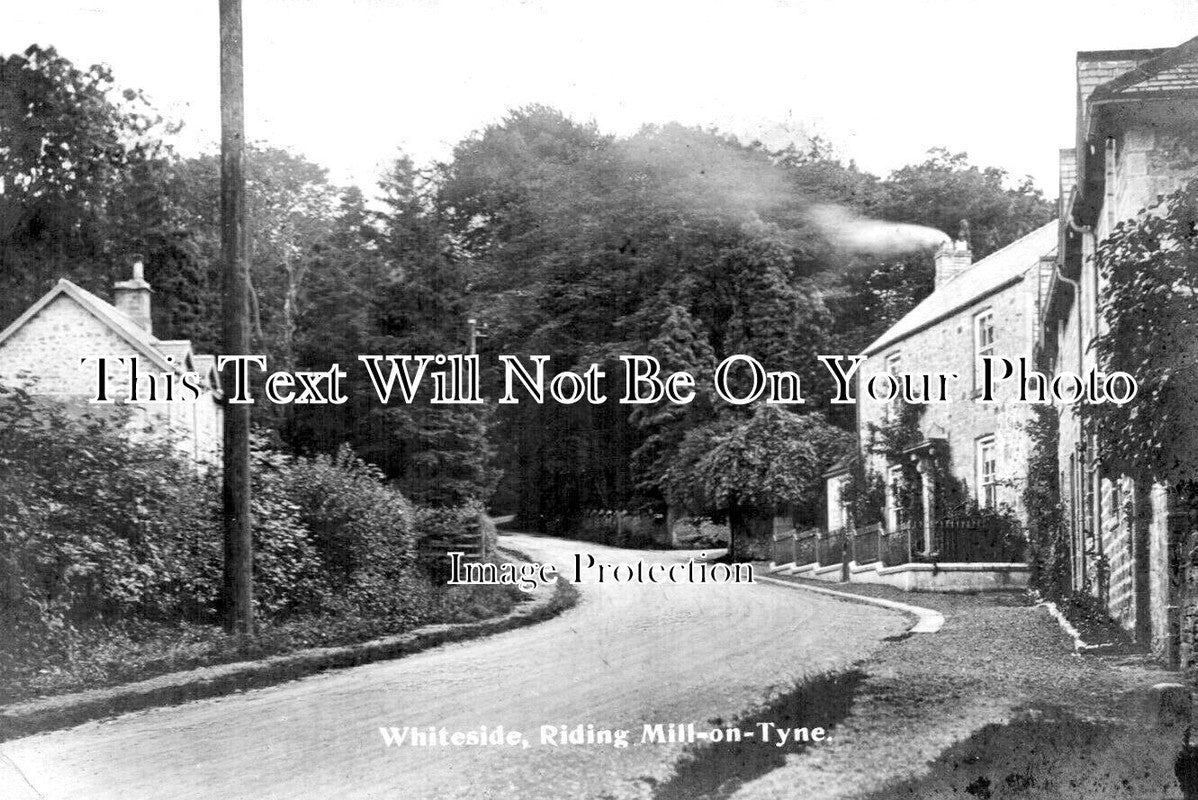 NO 2039 - Whiteside, Riding Mill On Tyne, Northumberland