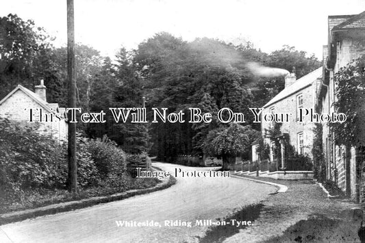 NO 2039 - Whiteside, Riding Mill On Tyne, Northumberland