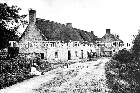 NO 2045 - West Boat, Hexham, Northumberland c1917