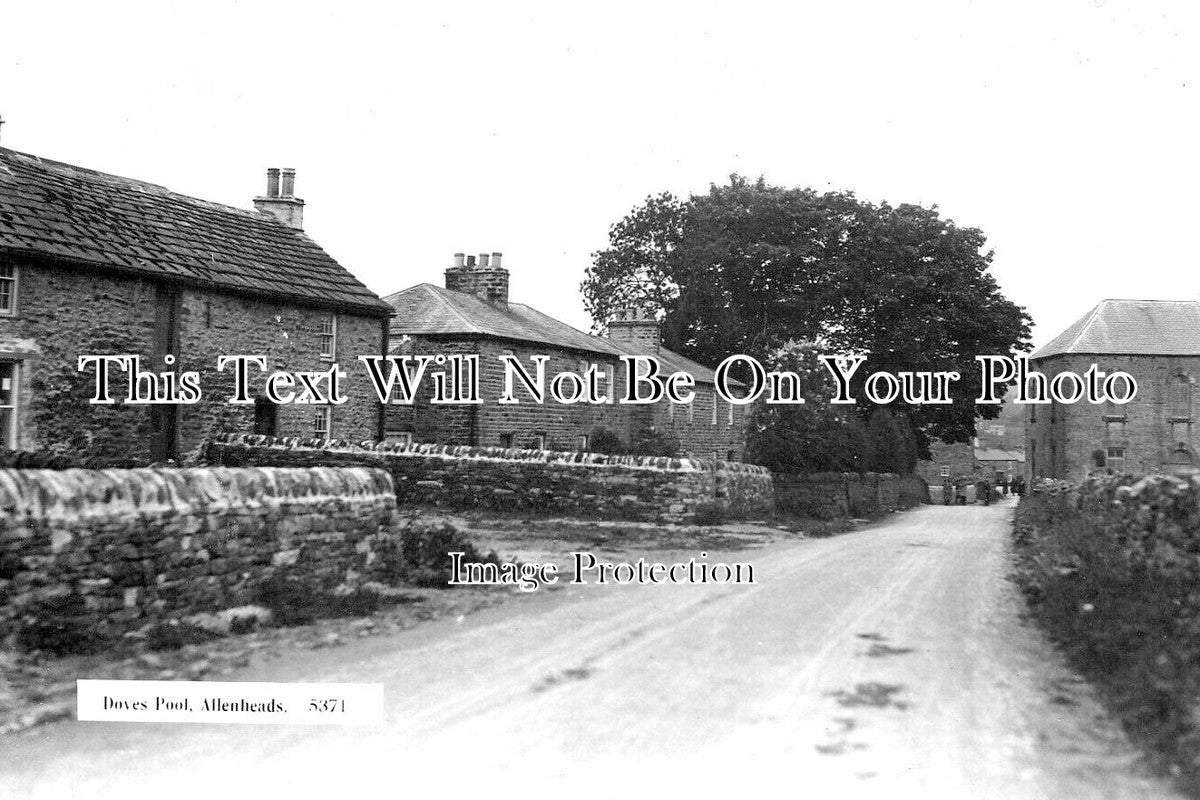 NO 2110 - Doves Pool, Allenheads, Northumberland