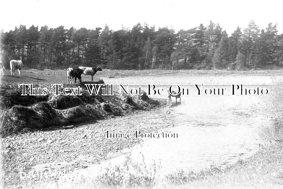 NO 2121 - Devils Water, Corbridge, Hexham, Northumberland c1910