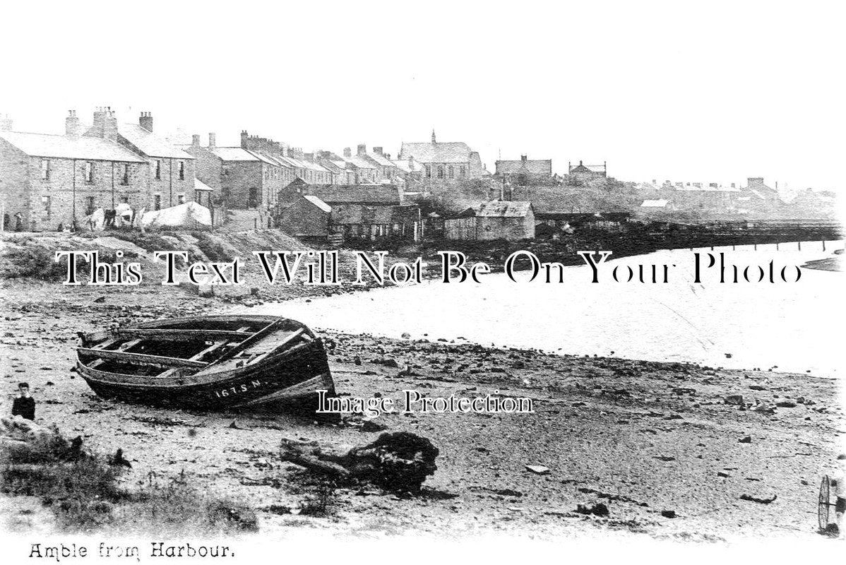 NO 2184 - Amble From The Harbour, Northumberland c1906